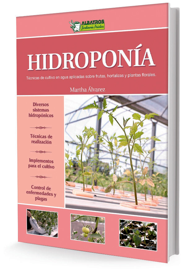 Hidroponía | Marta Álvarez