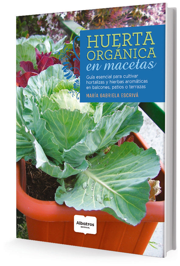 HUERTA ORGANICA EN MACETAS.. | Maria Gabriela Escrivá