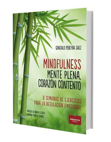 Mindfulness  | Gonzalo Sáenz