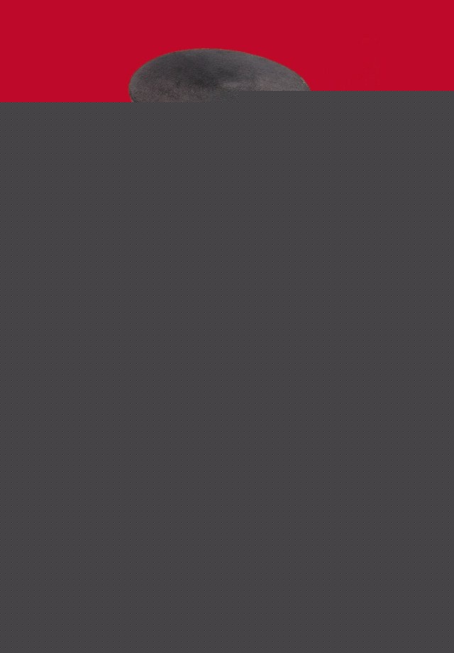 piense y hagase rico | napoleon  hill