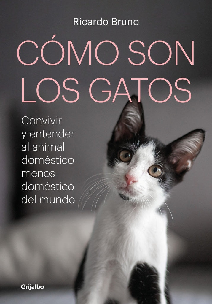 CÓMO SON LOS GATOS.. | Ricardo Bruno