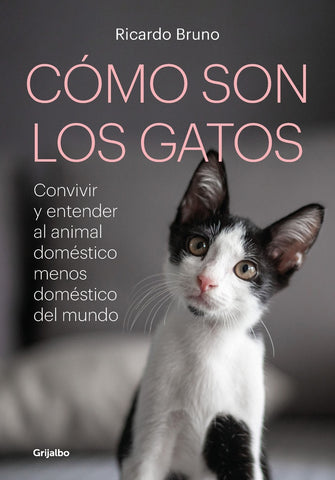 CÓMO SON LOS GATOS.. | Ricardo Bruno