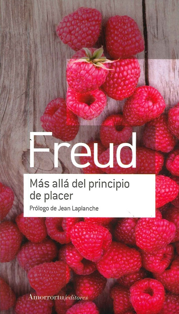 MAS ALLA DEL PRIIPIO DEL PLACER