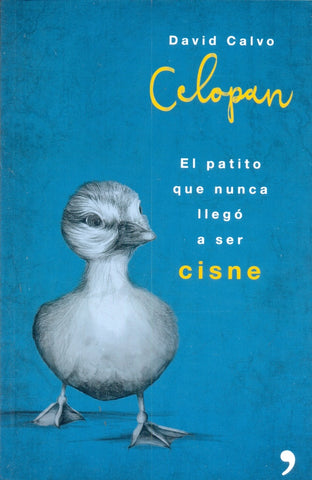 El patito que nunca llego a ser cisne | David Calvo Celopan