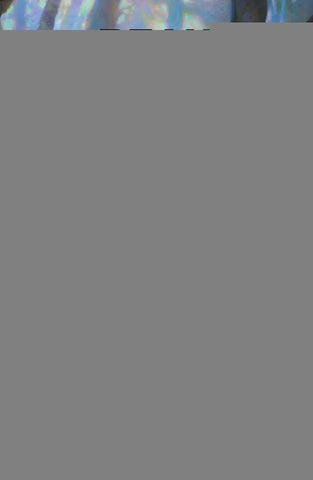 ESPINA PLATEADA Y EL BOSQUE DE LOS SUSURROS*.. | Reah *