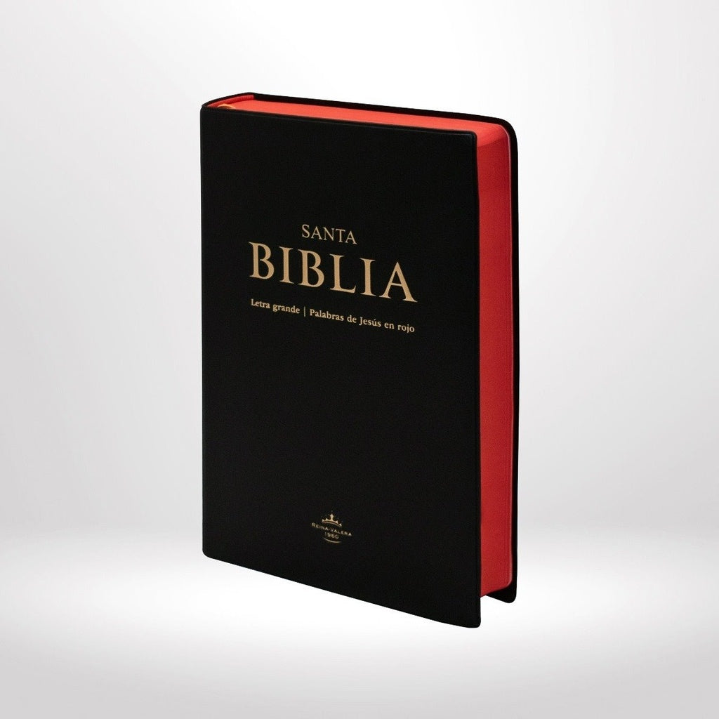 SANTA BIBLIA LETRA GRANDE | Autores Varios