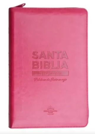 Santa biblia Letra Grande c/estuche