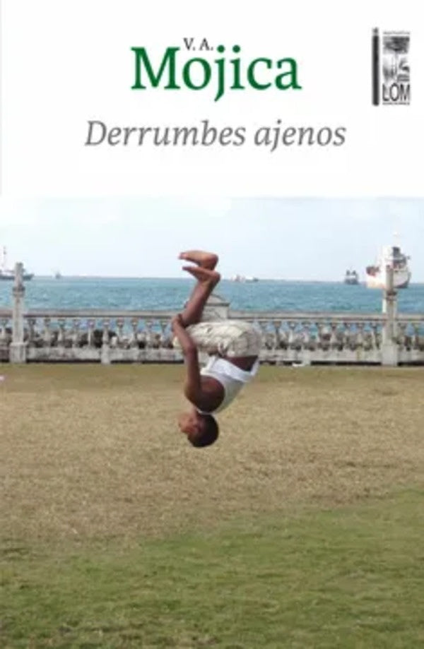Derrumbes ajenos | Víctor Alejandro Mojica