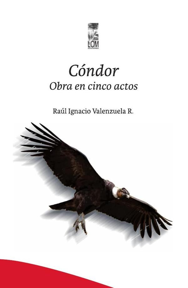 Cóndor | Raúl Ignacio Valenzuela