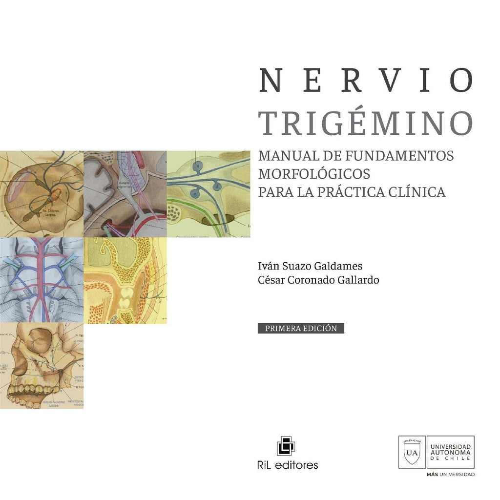 Nervio trigémino. Manual de fundamentos morfológicos para la práctica clínica | Suazo Galdames, Coronado Gallardo