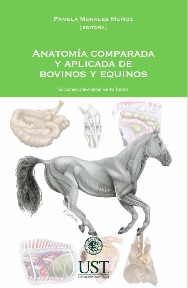 Anatomía comparada y aplicada de bovinos y equinos | Pamela Morales Muñoz