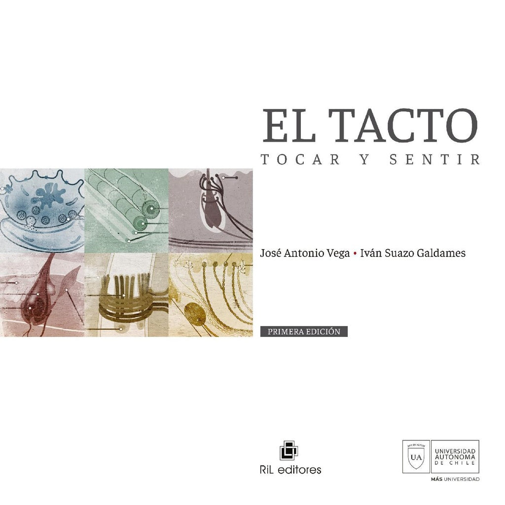 El tacto, tocar y sentir | Suazo Galdames, Vega