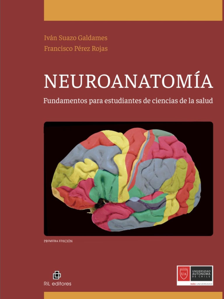 Neuroanatomía: fundamentos para estudiantes de ciencias de la salud | Pérez Rojas, Suazo Galdames