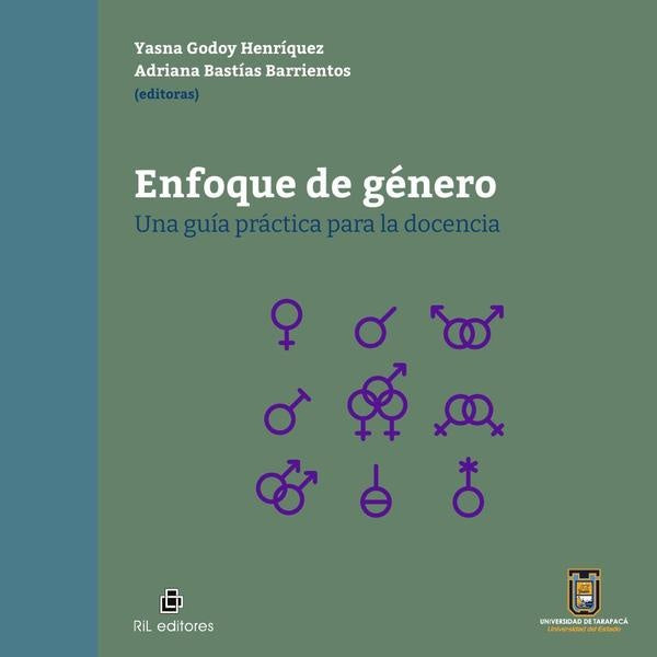 Enfoque de género | Godoy Henríquez, Barrientos