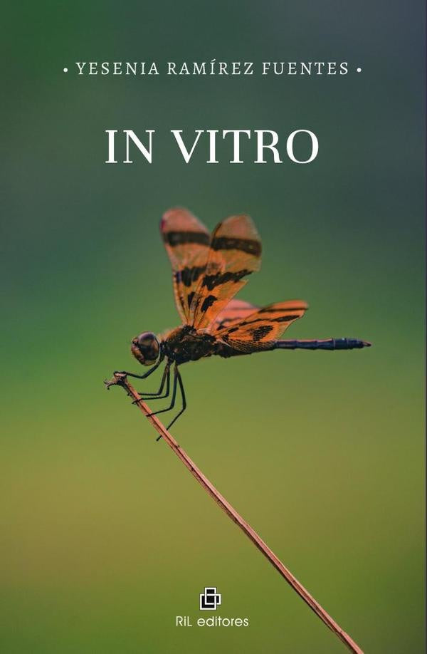 In Vitro | Yesenia Ramírez Fuentes