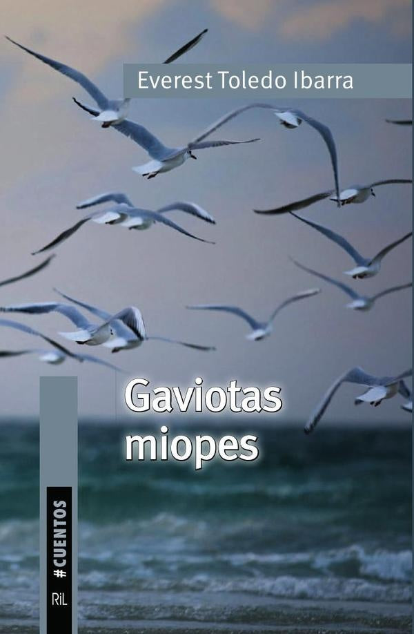 Gaviotas miopes | Everest Toledo Ibarra