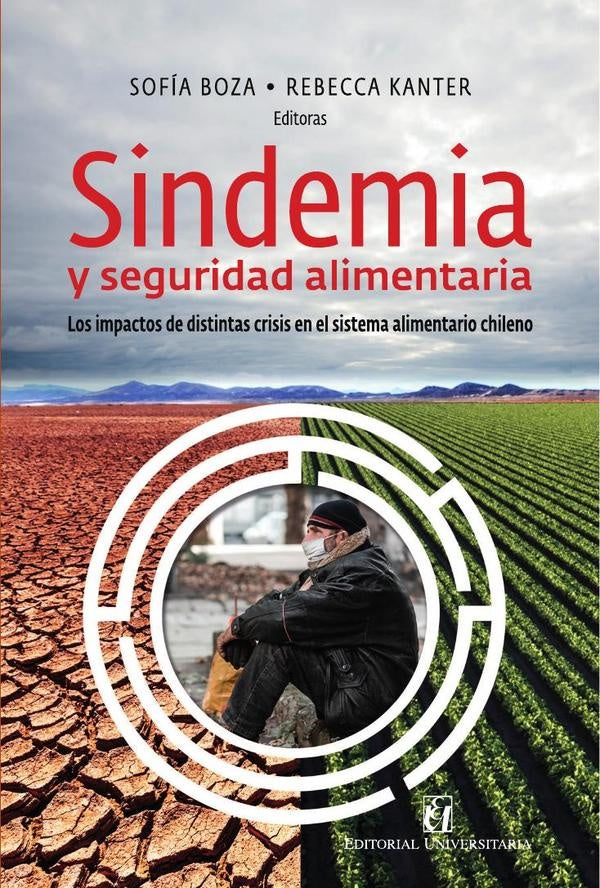 Sindemia y seguridad alimentaria | Kanter, Boza