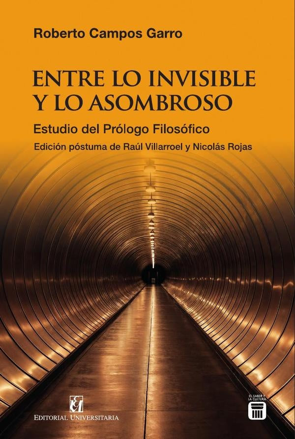 Entre lo invisible y lo asombroso | Villarroel, Rojas y otros