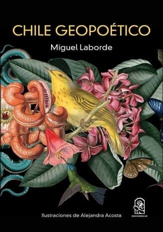 Chile geopoético | Miguel Laborde