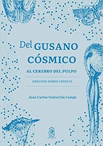 Del gusano cósmico al cerebro del pulpo | Juan Carlos Fontecilla Camps