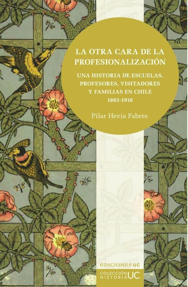 La otra cara de la profesionalización | Pilar Hevia Fabres