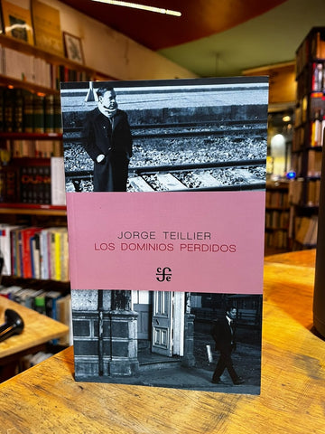 Los dominios perdidos | Jorge Teillier
