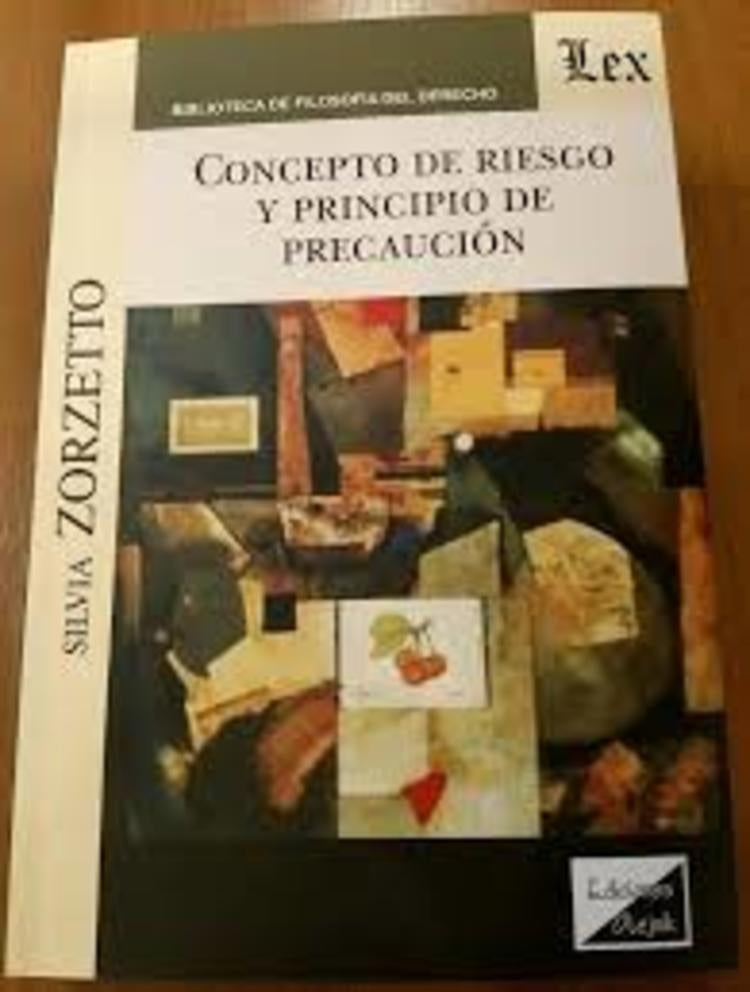 Concepto de riesgos y principio de precaución | Silvia Zorzetto