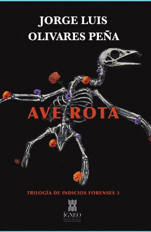 Ave rota | Jorge Luis Olivares Peña