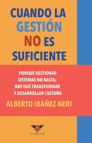 Cuando la gestión no es suficiente | José Alberto Hernández Ibáñez