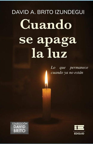 Cuando se apaga la luz  | David A. Brito Izundegui