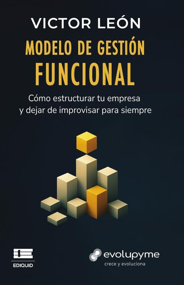 Modelo de gestión funcional | Víctor René  Bajonero León