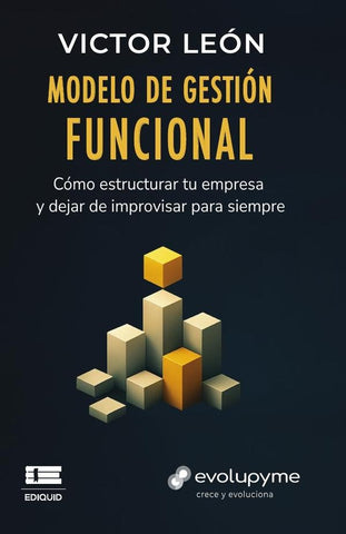 Modelo de gestión funcional | Víctor René  Bajonero León