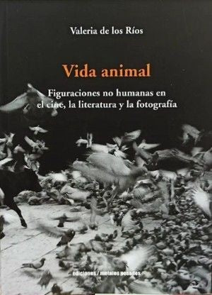 Vida animal | Valeria de los Ríos