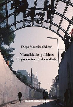 Visualidades políticas | Maureira Diego