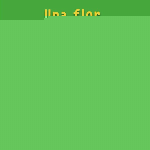 Una flor sin dolor |  Aleszander   Painless