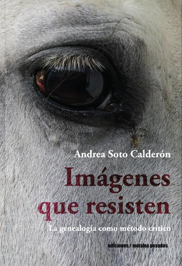 Imágenes que resisten | Andrea Soto Calderón
