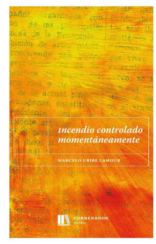 Incendio controlado momentáneamente  | Marcelo Uribe