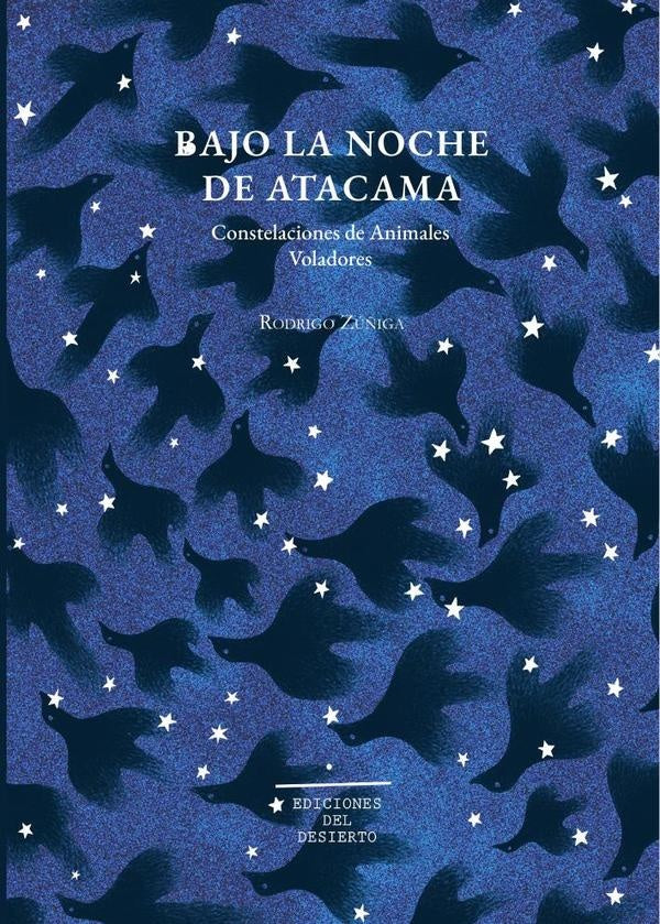 Bajo la noche de Atacama | Rodrigo Zúñiga Moreta.