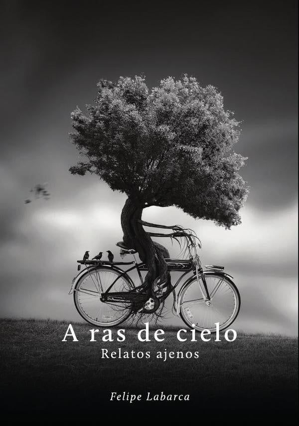 A ras de cielo | Felipe Labarca