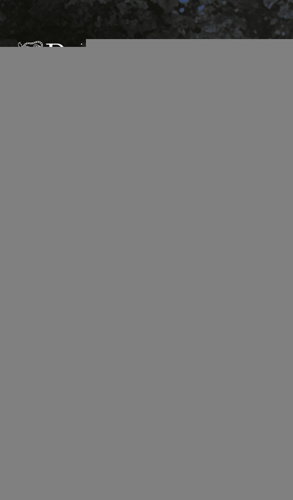 LAS QUE NO DUERMEN | Dolores Redondo