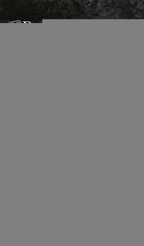 LAS QUE NO DUERMEN | Dolores Redondo