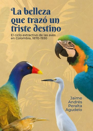 La belleza que trazó un triste destino | Jaime Andrés Peralta Agudelo