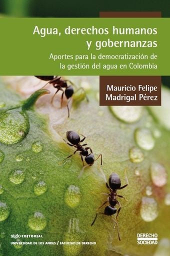 Agua, derechos humanos y gobernanzas | Mauricio Madrigal Pérez