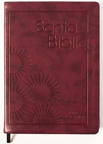 biblia vino letra gigante