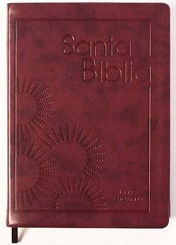 biblia vino letra gigante