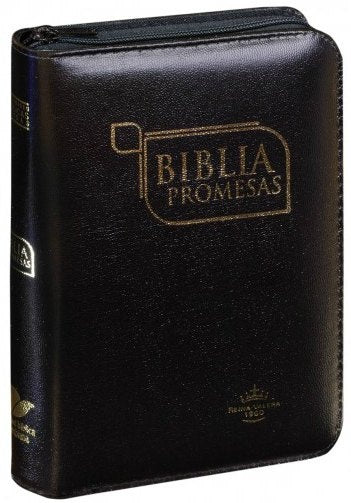 BIBLIA PROMESAS