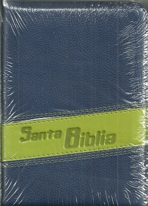 SANTA BIBLIA azul y verde*