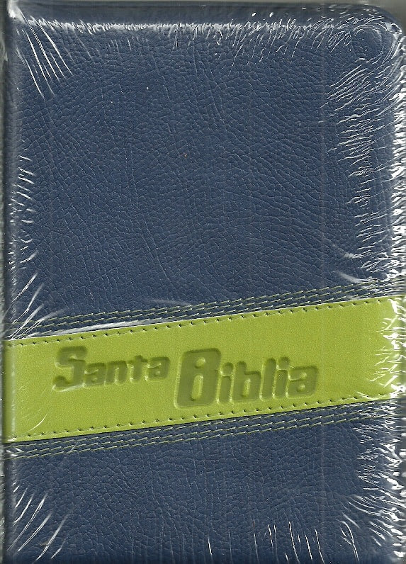 SANTA BIBLIA azul y verde*