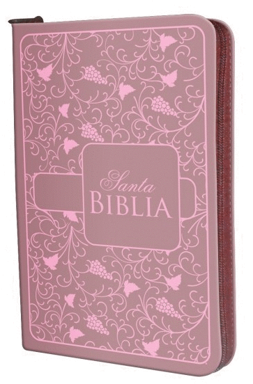 SANTA BIBLIA rosada | Autores Varios