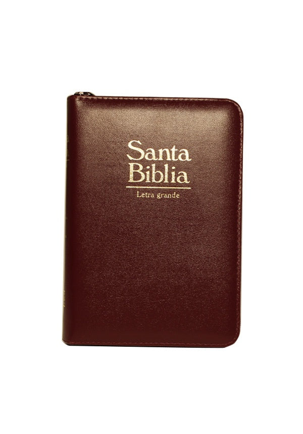 SANTA BIBLIA (LETRA GRANDE)